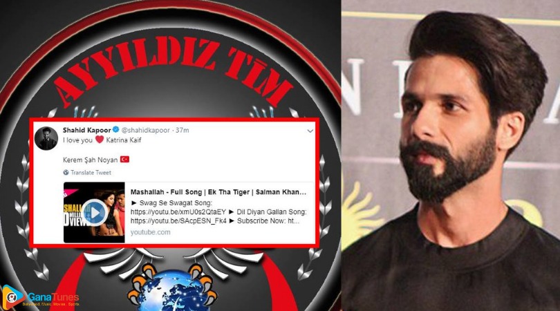 Who Hacked Shahid Kapoor's Twitter And Instagram Account?
